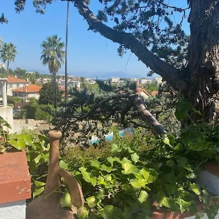 Dans Maison, Jardin Et Piscine Prives * Антіб