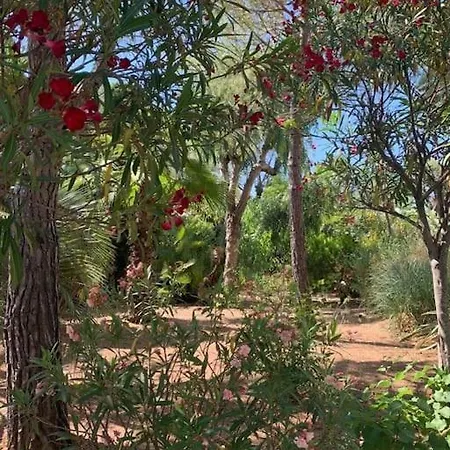 Dans Maison, Jardin Et Piscine Prives Антіб