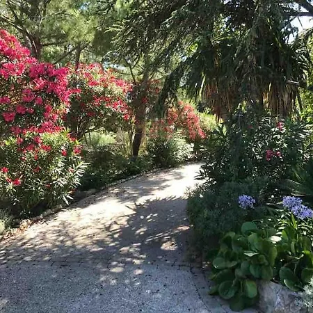 Dans Maison, Jardin Et Piscine Prives אנטיב