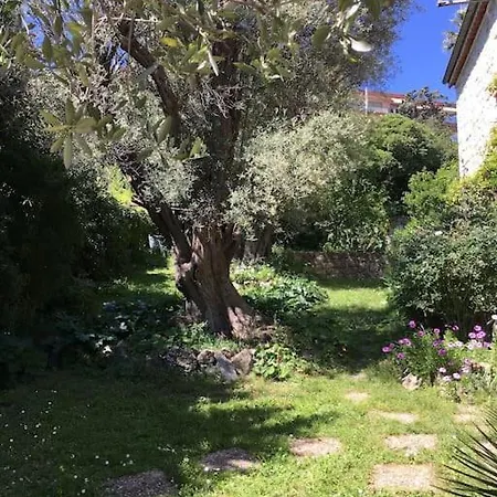 Dans Maison, Jardin Et Piscine Prives Антіб